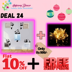 DEAL 24 Happy New Year